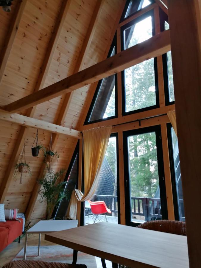 Zlatair Chalets Villa Nova Varoš Eksteriør billede