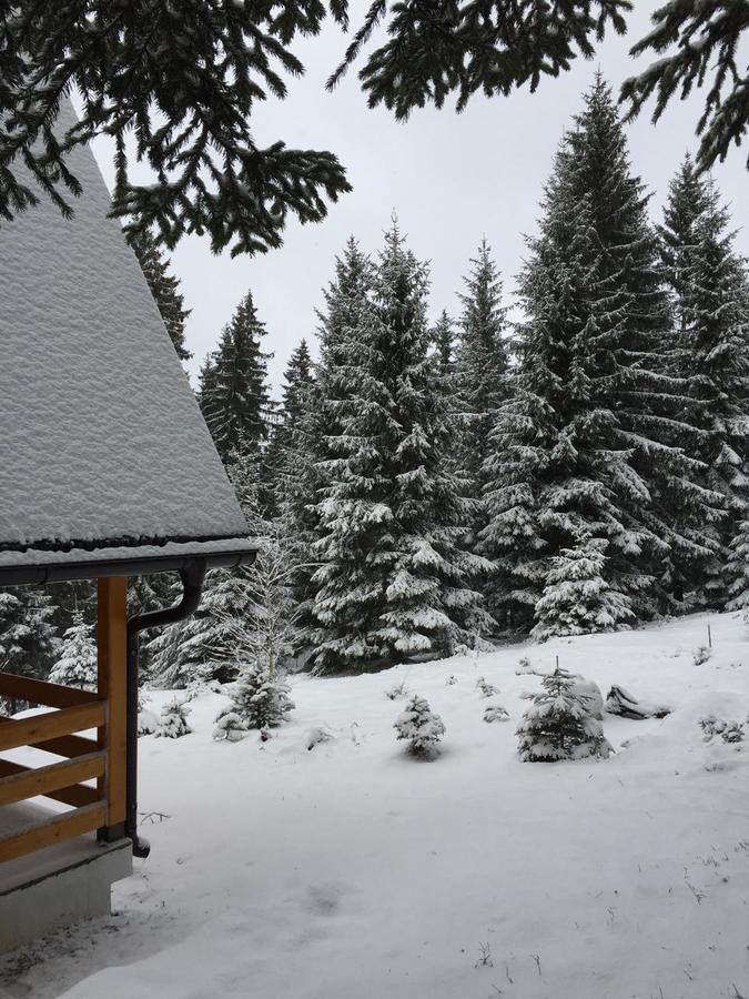 Zlatair Chalets Villa Nova Varoš Eksteriør billede